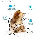 Lozalo Puppy Shampoo6.webp