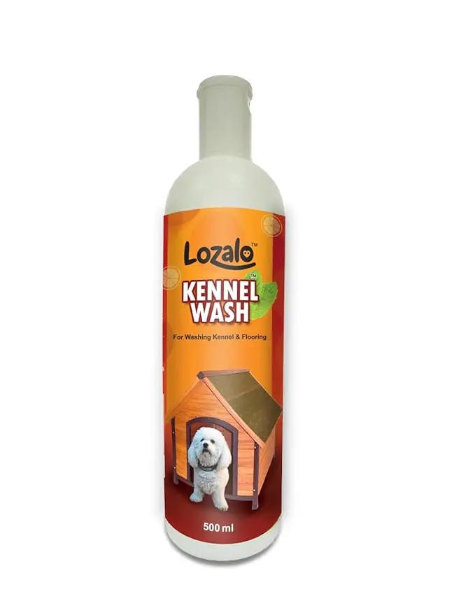 Lozalo orange 1.webp