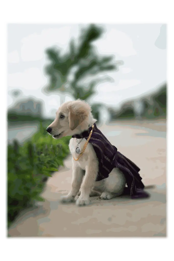 lavender_v003 (1).webp