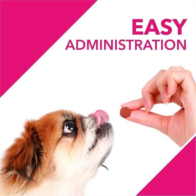 Drools skin and coat suppliments 4.webp