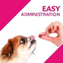 Drools skin and coat suppliments 4.webp