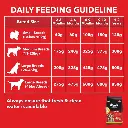 Drools puppy nutrition 6.webp