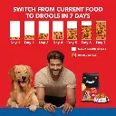 Drools puppy nutrition 4.webp