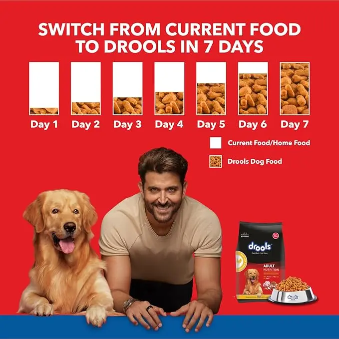 Drools adult nutrition chicken and egg 4.webp