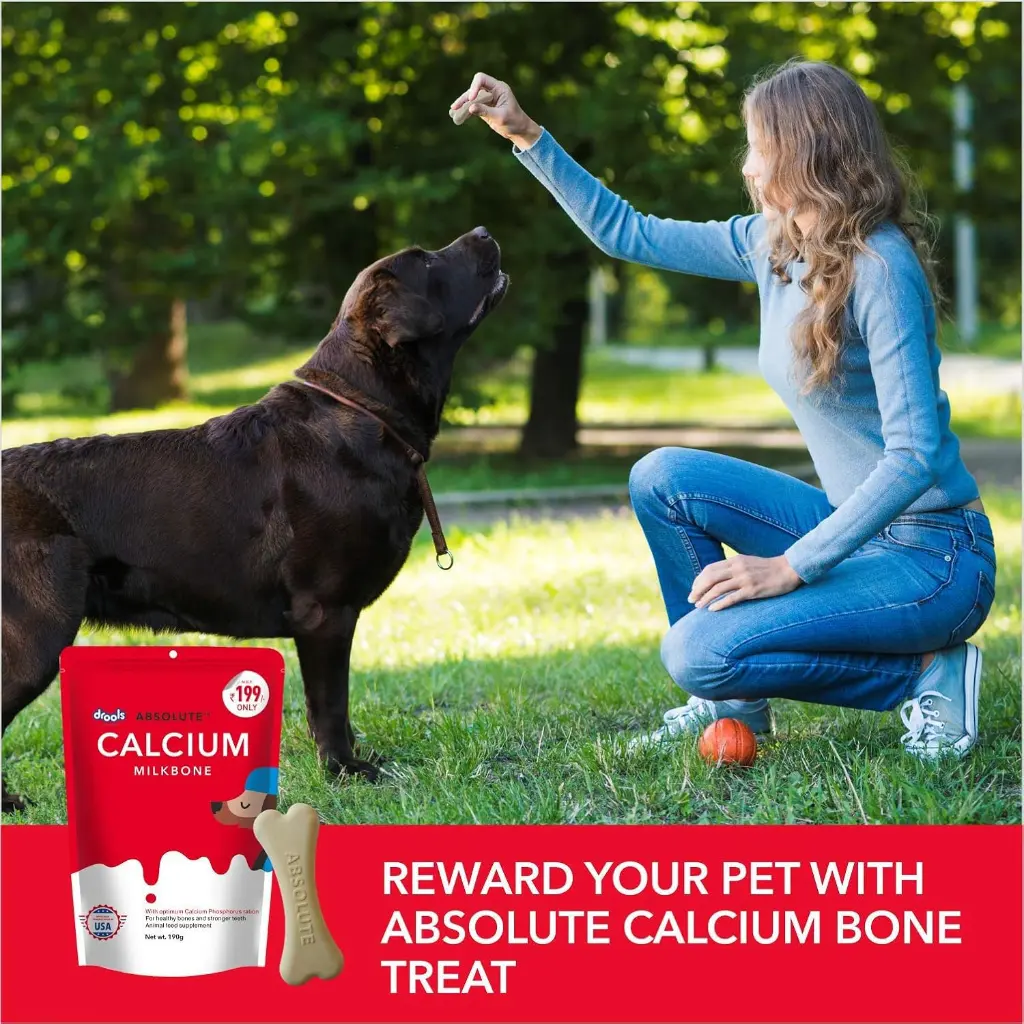 Drools absolute calcium milk bone 5.webp