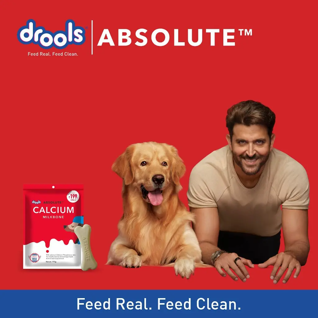 Drools absolute calcium milk bone 4.webp