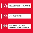 Drools absolute calcium milk bone 3.webp