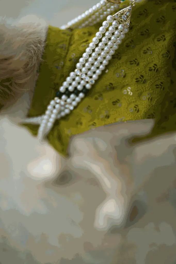 Mehendigreen_v002 (1).webp