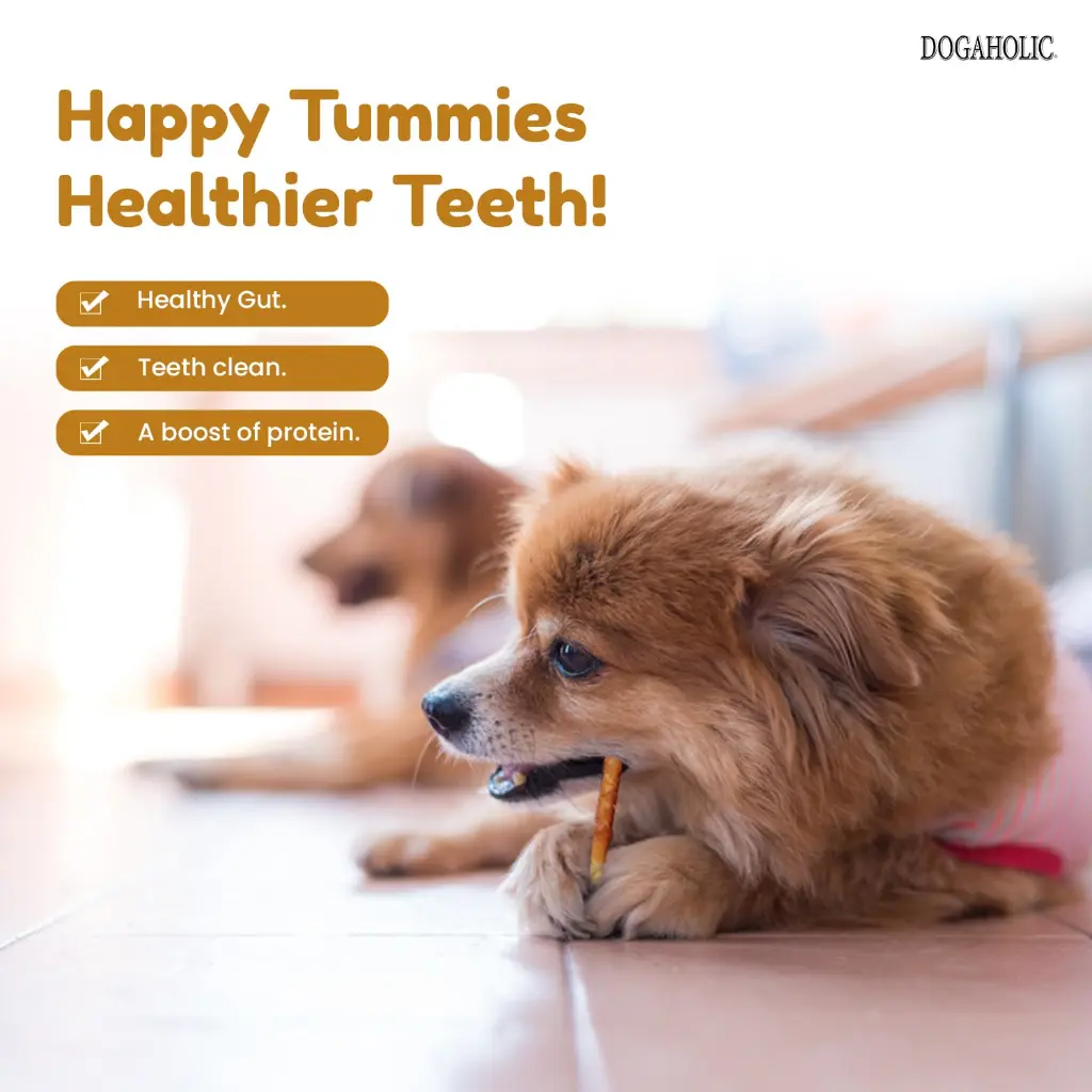 Dogaholic Milky cheese chew 6.webp