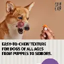 chipchop diced chicken 3.webp