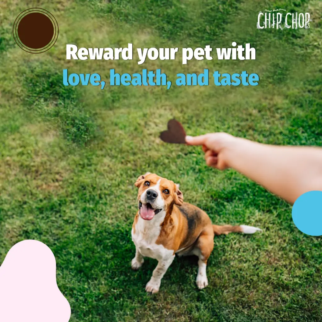 Chip chop Chicken Pasta 6.webp