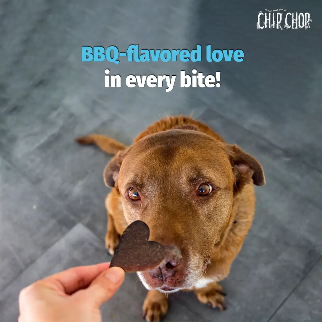 Chip chop Chicken Pasta 7.webp