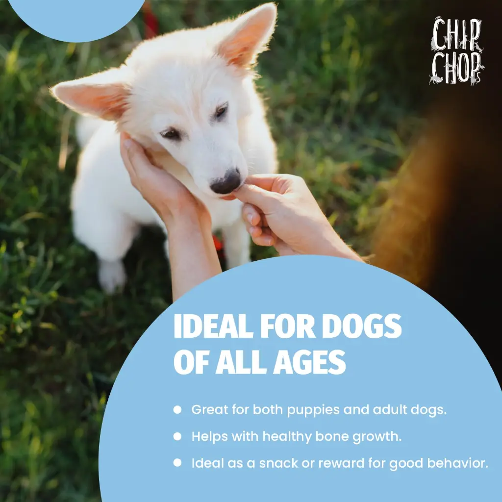 chipchops chicken 5.webp