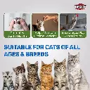 Trixie Tuna rolls6.webp