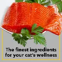 Purepet cat adult sea food 5.webp