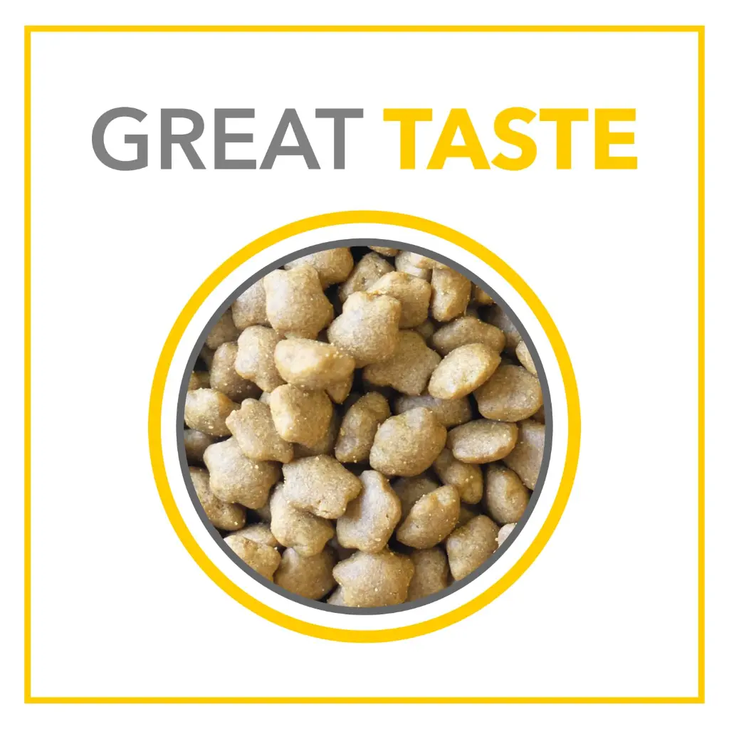 Purepet cat adult sea food 7.webp