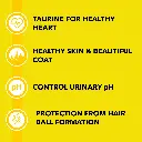 Purepet cat adult sea food 3.webp