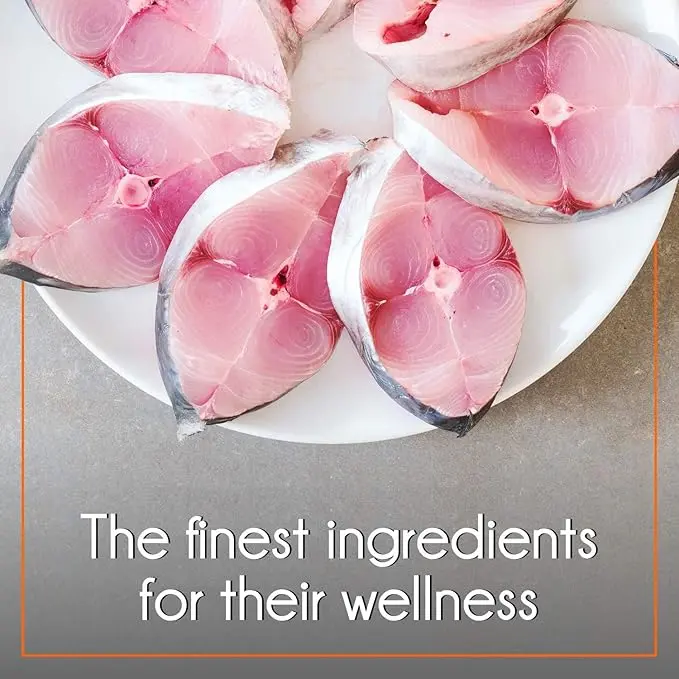 Pure pet cat mackerel 5.webp