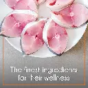 Pure pet cat mackerel 5.webp