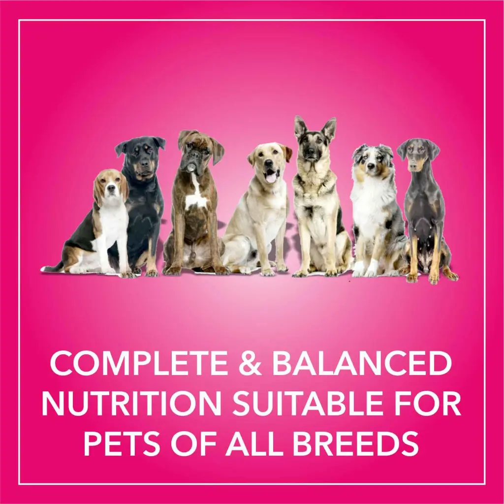 Purepet dog adult chicken and milk 4.webp