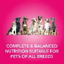 Purepet dog adult chicken and milk 4.webp