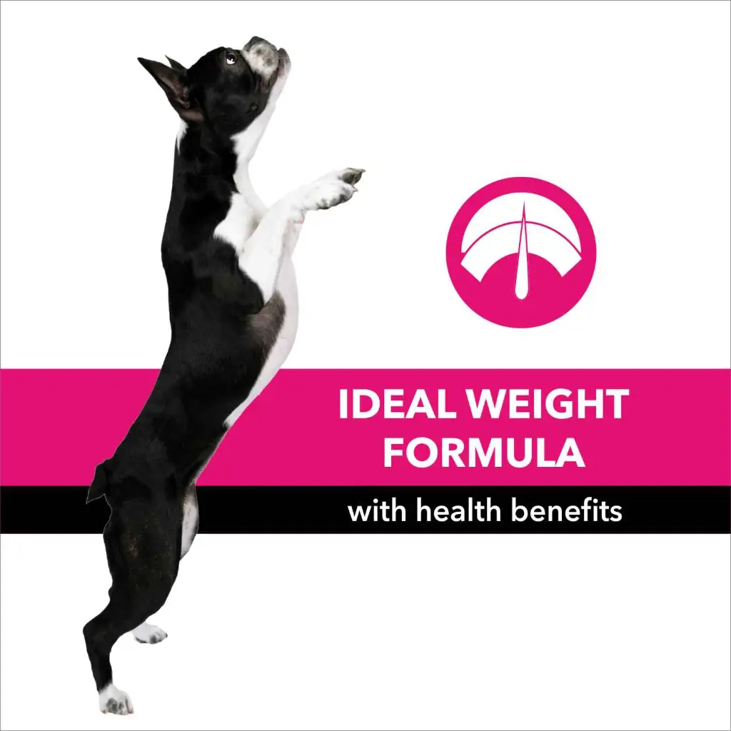 Purepet dog adult chicken and milk 6.webp