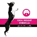 Purepet dog adult chicken and milk 6.webp