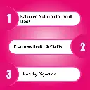 Purepet dog adult chicken and milk 3.webp