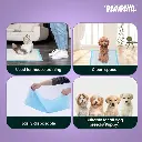Pawpaya puppy pads 6.webp