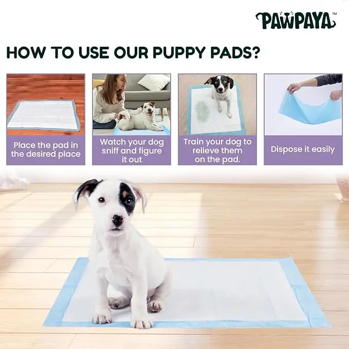 Pawpaya puppy pads 4.webp