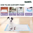Pawpaya puppy pads 4.webp
