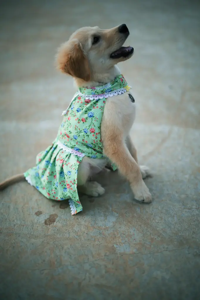 Green Floral Frock (S)